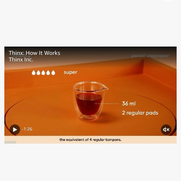 NWT Thinx Period Panty Brief - Picture 3 of 3